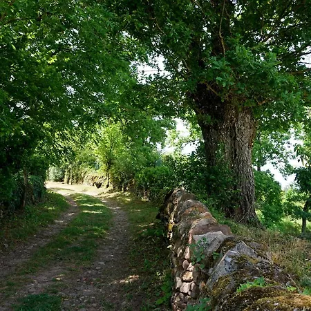 Le Clos Bellevue T3 Parking + Piscine Daire