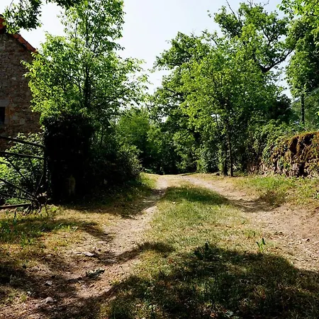 Le Clos Bellevue T3 Parking + Piscine アパート ロデーズ