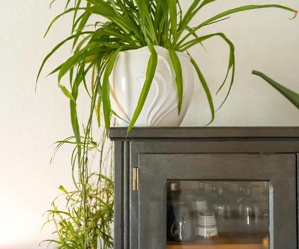 アパート Le Clos Bellevue T3 Parking + Piscine