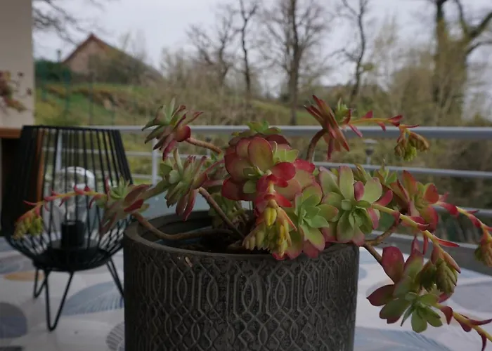 Appartement Le Clos Bellevue T3 Parking + Piscine *