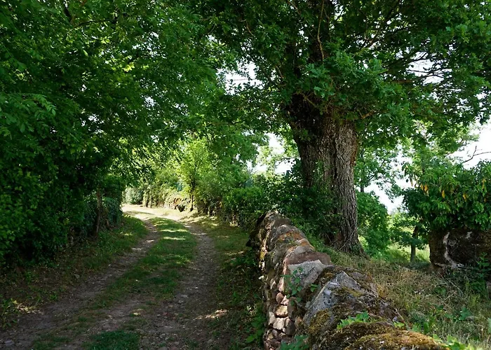 Le Clos Bellevue T3 Parking + Piscine Appartement